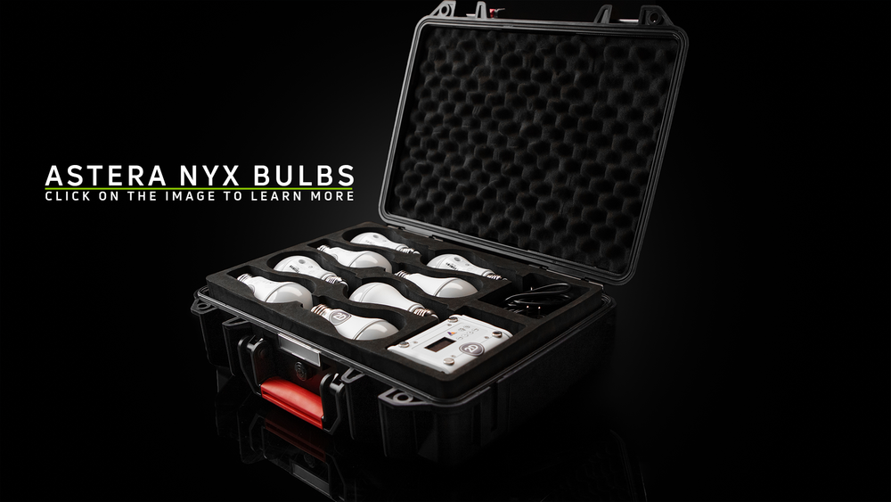 Nyx bulbs homepage